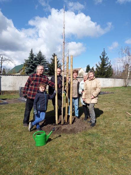 Neue Bäume für unseren Friedhof